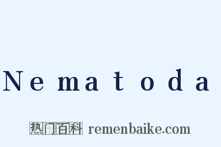 Nematoda是什么意思的图片